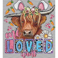 Cow-NIU 2592